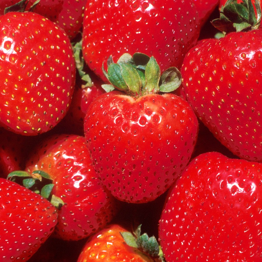 Organic Strawberries 1 lb