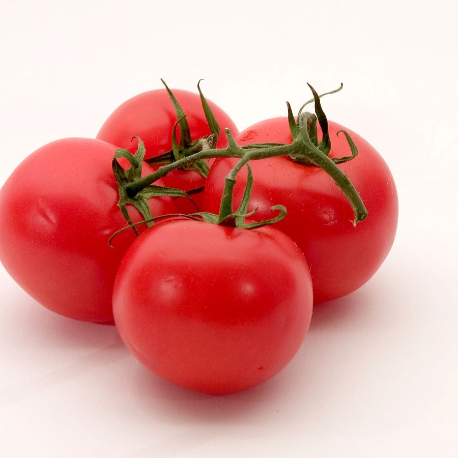 Salad Tomato Pack